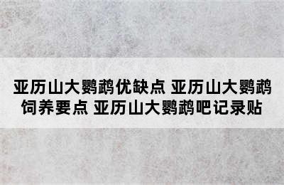 亚历山大鹦鹉优缺点 亚历山大鹦鹉饲养要点 亚历山大鹦鹉吧记录贴